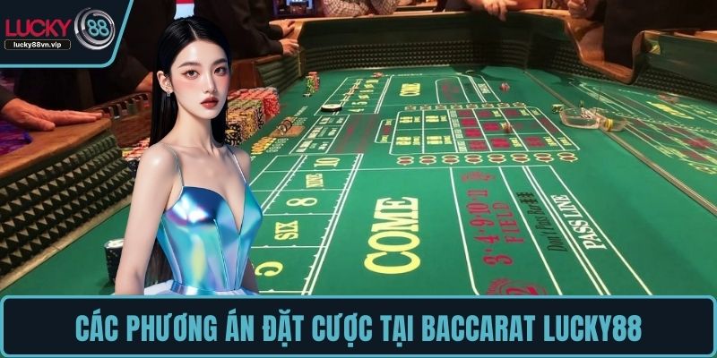 Các phương án đặt cược tại Baccarat LUCKY88
