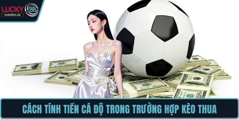 Cách tính tiền cá độ trong trường hợp kèo thua Cách tính tiền cá độ trong trường hợp kèo thua