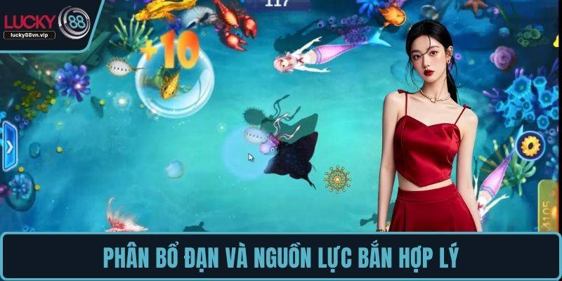 Phân bổ đạn và nguồn lực bắn hợp lý