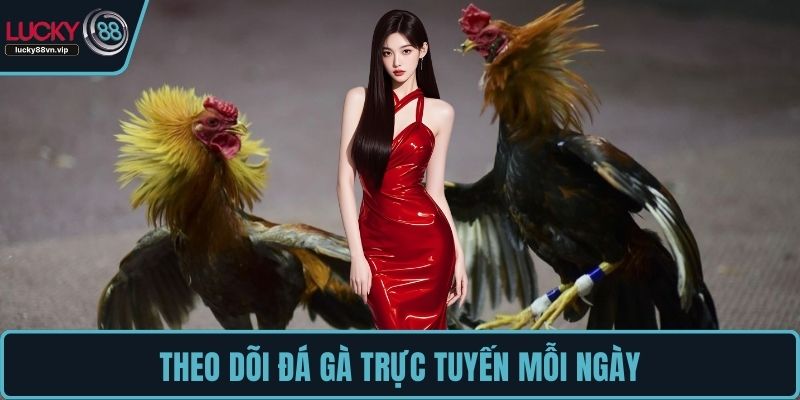Theo dõi đá gà trực tuyến mỗi ngày