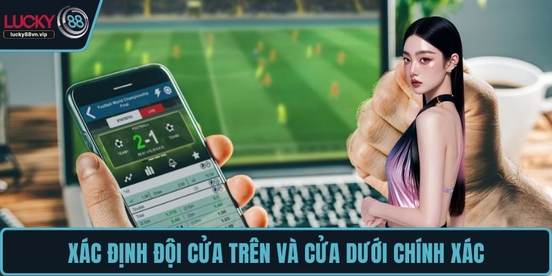 Xác định đội cửa trên và cửa dưới chính xác Xác định đội cửa trên và cửa dưới chính xác